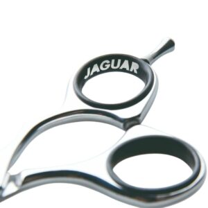 Jaguar Silver Line CJ4 Plus 5.5