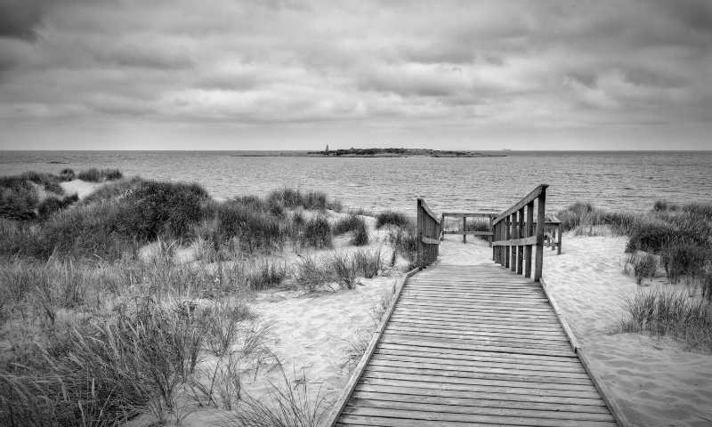 Solidcos har sitt säte i Halmstad