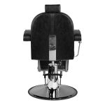 HAIR SYSTEM-5