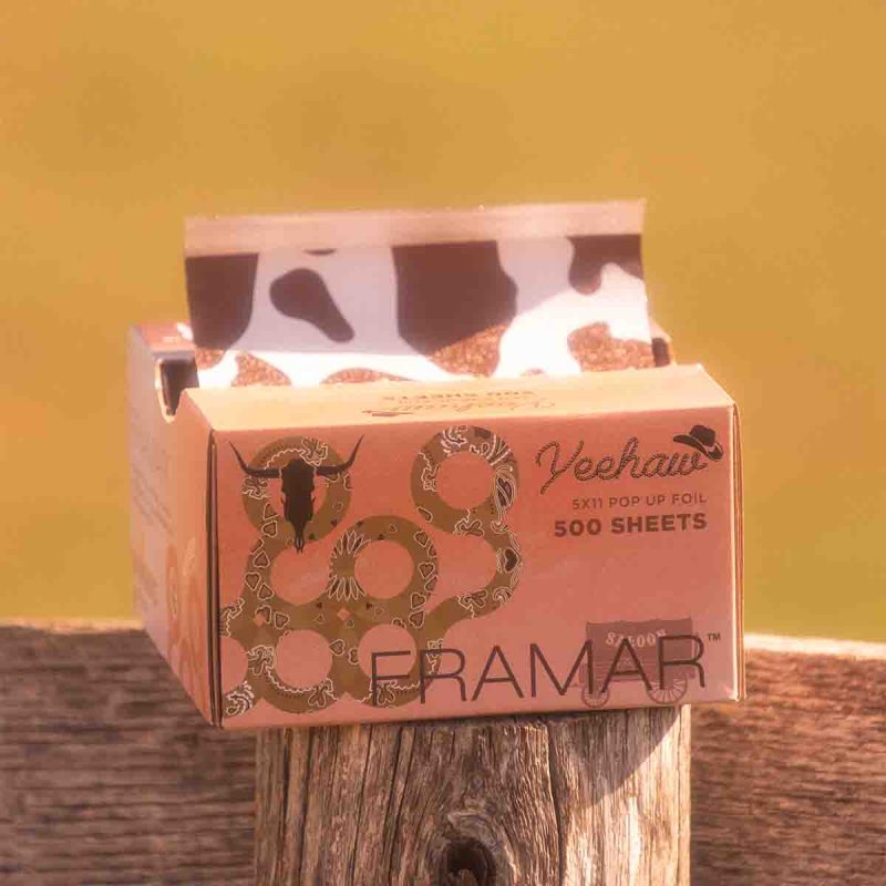 PU-500YEE-Framar - 5x11 Pop Up Yeehaw-2