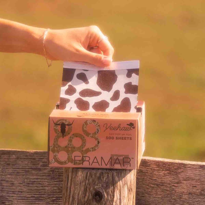 PU-500YEE-Framar - 5x11 Pop Up Yeehaw-3